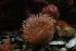  ( - BIOUG-KMH110)  @11 [ ] Unspecified (default): All Rights Reserved  Unspecified Unspecified