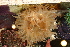  ( - BIOUG-KMH-090)  @11 [ ] Unspecified (default): All Rights Reserved  Unspecified Unspecified