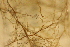  ( - RBCM 011-00136-002)  @11 [ ] Unspecified (default): All Rights Reserved  Unspecified Unspecified