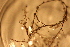  ( - RBCM 011-00138-008)  @11 [ ] Unspecified (default): All Rights Reserved  Unspecified Unspecified