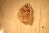  ( - RBCM 011-00262-003)  @11 [ ] Unspecified (default): All Rights Reserved  Unspecified Unspecified