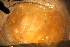  ( - RBCM 010-00228-002)  @11 [ ] Unspecified (default): All Rights Reserved  Unspecified Unspecified