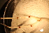  ( - RBCM 010-00260-007)  @11 [ ] Unspecified (default): All Rights Reserved  Unspecified Unspecified
