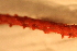  ( - RBCM 010-00223-003)  @12 [ ] Unspecified (default): All Rights Reserved  Unspecified Unspecified