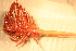  ( - RBCM 010-00276-001)  @11 [ ] Unspecified (default): All Rights Reserved  Unspecified Unspecified