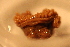  ( - RBCM 005-00054-029)  @11 [ ] Unspecified (default): All Rights Reserved  Unspecified Unspecified