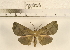  ( - YB-KC-L003-001)  @11 [ ] No Rights Reserved  Unspecified Unspecified