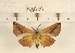  ( - YB-KC-L003-001)  @11 [ ] No Rights Reserved  Unspecified Unspecified