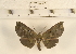  ( - YB-KC-L108-05)  @14 [ ] No Rights Reserved  Unspecified Unspecified
