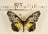  ( - YB-KHC1413)  @11 [ ] No Rights Reserved  Unspecified Unspecified