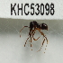  ( - YB-KHC53098)  @12 [ ] No Rights Reserved  Unspecified Unspecified