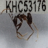  ( - YB-KHC53176)  @12 [ ] No Rights Reserved  Unspecified Unspecified
