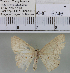  (Perixera sp. 4MKC - YB-KHC6746)  @12 [ ] Unspecified (default): All Rights Reserved  Unspecified Unspecified
