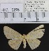  (Perixera sp. 3MKC - YB-KHC6276)  @12 [ ] No Rights Reserved  Unspecified Unspecified