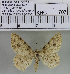 (Synegia sp. 2MKC - YB-KHC707)  @12 [ ] No Rights Reserved  Unspecified Unspecified