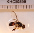  ( - KHC-002_A04)  @12 [ ] No Rights Reserved  Unspecified Unspecified