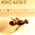  ( - KHC-001_G01)  @12 [ ] No Rights Reserved  Unspecified Unspecified