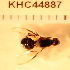  ( - KHC-001_A02)  @12 [ ] No Rights Reserved  Unspecified Unspecified