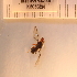  ( - KHC-001_H11)  @12 [ ] No Rights Reserved  Unspecified Unspecified