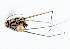  ( - 19592GerrE12)  @12 [ ] Copyright (2013) Joseph Gitau icipe