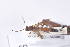  ( - PrniG03)  @12 [ ] Copyright (2011) Fabian Haas icipe