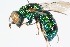  (Isadelphia - 14635ChryB10)  @11 [ ] Copyright (2013) RS Copeland Unspecified