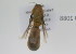  ( - NMK-ENTO 2088)  @11 [ ] Unspecified (default): All Rights Reserved  Unspecified Unspecified