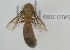  ( - NMK-ENTO 2089)  @11 [ ] Unspecified (default): All Rights Reserved  Unspecified Unspecified