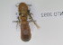  ( - NMK-ENTO 2092)  @11 [ ] Unspecified (default): All Rights Reserved  Unspecified Unspecified
