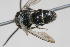  ( - 13739-MutillidD2)  @11 [ ] Copyright (2011) RS Copeland Unspecified