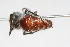  ( - 13738-MutillidC3)  @11 [ ] Copyright (2011) RS Copeland Unspecified