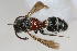  ( - 13709-MutillC4)  @11 [ ] Copyright (2011) RS Copeland Unspecified