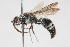  ( - 13709-MutillC9)  @11 [ ] Copyright (2011) RS Copeland Unspecified