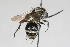 ( - 13709-MutillE6)  @11 [ ] Copyright (2011) RS Copeland Unspecified