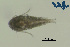  ( - Co2c)  @11 [ ] CC-BY-NC-ND (2013) Ruth N Kaplan-Levy Israel Oceanographic and Limnological Research