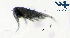  ( - Co2d)  @11 [ ] CC-BY-NC-ND (2013) Ruth N Kaplan-Levy Israel Oceanographic and Limnological Research