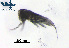 ( - Co2f)  @11 [ ] CC-BY-NC-ND (2013) Ruth N Kaplan-Levy Israel Oceanographic and Limnological Research