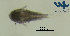  ( - Co2g)  @11 [ ] CC-BY-NC-ND (2013) Ruth N Kaplan-Levy Israel Oceanographic and Limnological Research