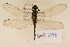  ( - BAR 840)  @13 [ ] Copyright (2011) NMK National Museums of Kenya