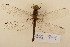  ( - BOG 726)  @13 [ ] Copyright (2011) NMK National Museums of Kenya