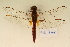  ( - BOG 748)  @11 [ ] Copyright (2011) NMK National Museums of Kenya