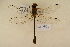  ( - BOG 785)  @11 [ ] Copyright (2011) NMK National Museums of Kenya