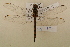  ( - BOG 791)  @12 [ ] Copyright (2011) NMK National Museums of Kenya