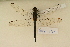  ( - BOG 795)  @11 [ ] Copyright (2011) NMK National Museums of Kenya
