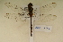  ( - BOG 797)  @12 [ ] Copyright (2011) NMK National Museums of Kenya