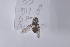  ( - GlpaB05)  @13 [ ] Copyright (2011) Fabian Haas icipe