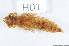  ( - 14408-ParaH01)  @12 [ ] Copyright (2012) Fabian Haas icipe