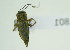  ( - NMK-ENTO 1801)  @11 [ ] Unspecified (default): All Rights Reserved  Unspecified Unspecified