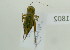  ( - NMK-ENTO 1802)  @11 [ ] Unspecified (default): All Rights Reserved  Unspecified Unspecified