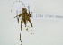  ( - NMK-ENTO 1811)  @11 [ ] Unspecified (default): All Rights Reserved  Unspecified Unspecified